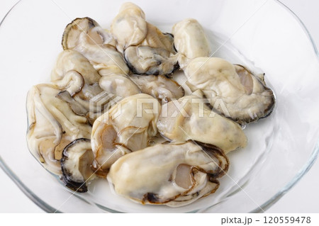 生牡蠣　食材 120559478