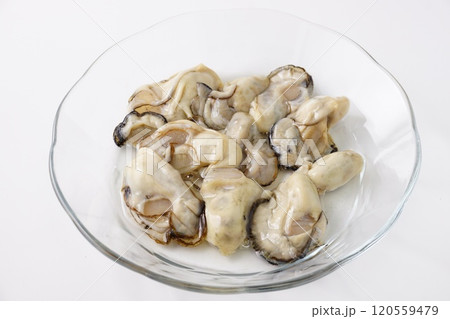 生牡蠣　食材 120559479