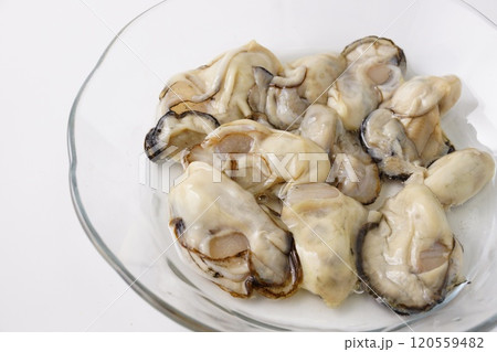生牡蠣　食材 120559482