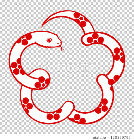 梅花形梅壺紋白蛇 毛筆彩繪二色 梅花形梅壺紋白蛇 毛筆彩繪二色 120559793