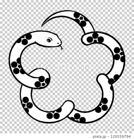 梅花形白蛇梅壺紋毛筆畫黑色 120559794