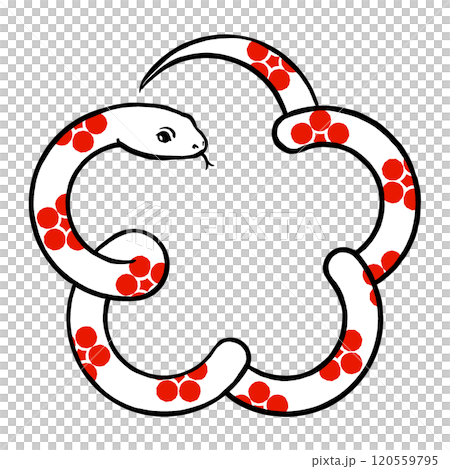 赤い梅鉢文様が入った白いヘビで梅の花の形　筆描き・マット塗り 120559795