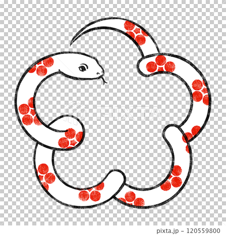 赤い梅鉢文様が入った白いヘビで梅の花の形 版画風 赤い梅鉢文様が入った白いヘビで梅の花の形 版画風 120559800