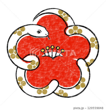 金色の梅鉢文様が入った白いヘビで象った紅梅 版画風 金色の梅鉢文様が入った白いヘビで象った紅梅 版画風 120559848