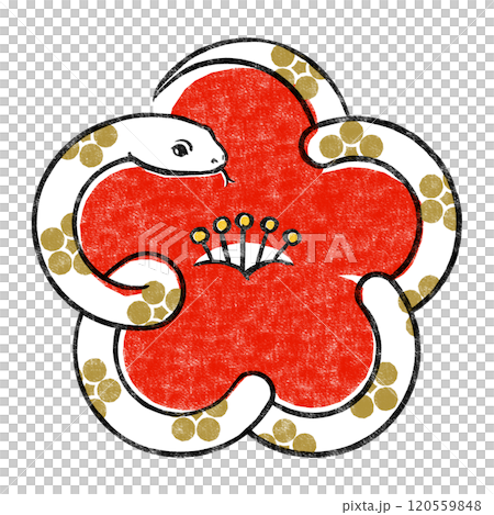 金色の梅鉢文様が入った白いヘビで象った紅梅 版画風 金色の梅鉢文様が入った白いヘビで象った紅梅 版画風 120559848