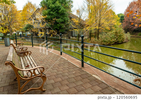 岐阜県海津市　紅葉が美しい秋のアクアワールド水郷パークセンターのベンチ 120560695