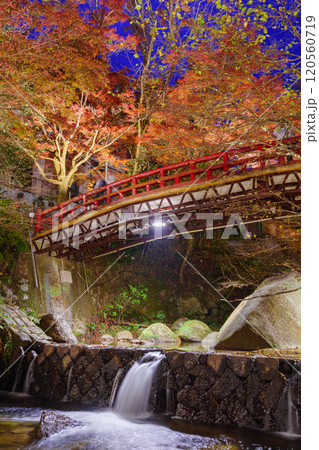 ライトアップされた岩屋堂公園 紅橋付近の紅葉(愛知県瀬戸市) ライトアップされた岩屋堂公園 紅橋付近の紅葉(愛知県瀬戸市) 120560719