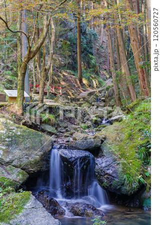 五宝滝公園の二天橋付近(岐阜県加茂郡八百津町) 五宝滝公園の二天橋付近(岐阜県加茂郡八百津町) 120560727