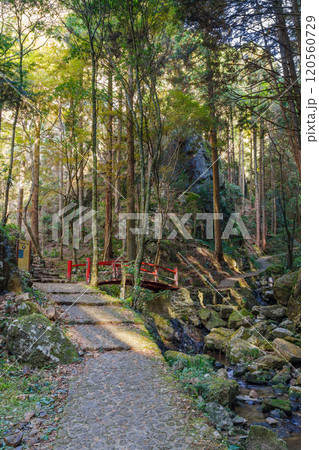 五宝滝公園の二天橋付近(岐阜県加茂郡八百津町) 五宝滝公園の二天橋付近(岐阜県加茂郡八百津町) 120560729