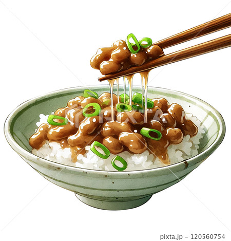 納豆ご飯のイラスト｜日本の伝統的な健康食品と和食の一皿 120560754