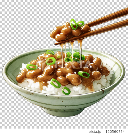 納豆ご飯のイラスト｜日本の伝統的な健康食品と和食の一皿 120560754