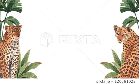 Frame of Leopard wildlife watercolor hand drawn Frame of Leopard wildlife watercolor hand drawn 120561028