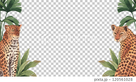 Frame of Leopard wildlife watercolor hand drawn Frame of Leopard wildlife watercolor hand drawn 120561028