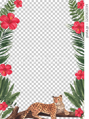 Frame of Leopard wildlife watercolor hand drawn Frame of Leopard wildlife watercolor hand drawn 120561034