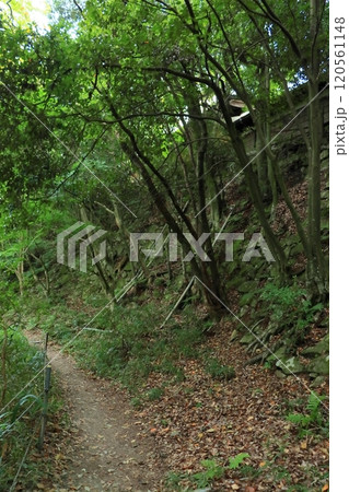 現存する八幡山城の石垣(近江八幡市) 現存する八幡山城の石垣(近江八幡市) 120561148