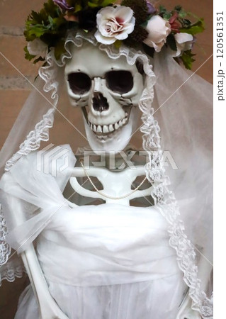 白いドレスの骸骨フィギュア 120561351