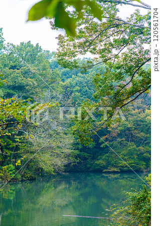 《震生湖》水面に映る紅葉（神奈川県秦野市） 120561704