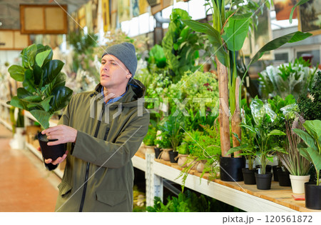 Man picking pot with replica plant in shop 120561872