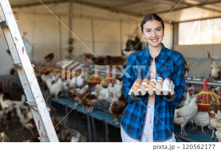Smiling european woman in plaid shirt and cap collecting eggs in chicken farm 120562177