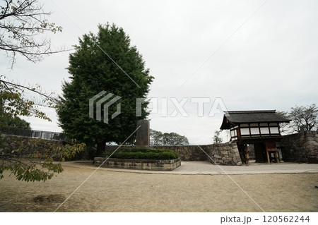 241016松代城跡 241016松代城跡 120562244