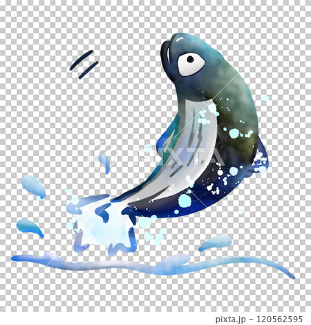 fish jumping out of water illustration, watercolor cartoon drawing 120562595
