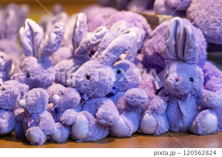 Plush Purple Rabbits and Bears on Display 120562824