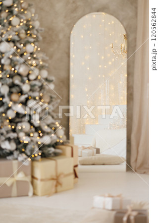 Gifts under a decorated Christmas tree in the living room. Gifts under a decorated Christmas tree in the living room. 120562844