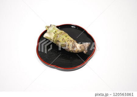 わさび 120563861