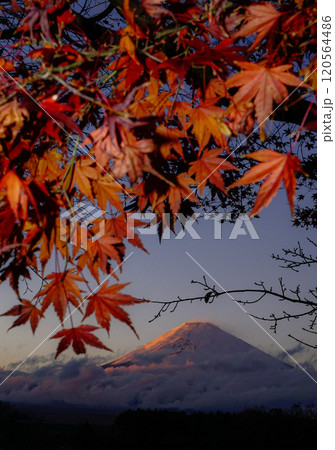 秋の富士山 秋の富士山 120564486