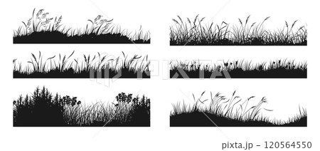 Grass silhouette. Reed meadow. Plant grassland horizon. Flower field landscape. Spring garden foliage. Scenery black border. Swamp panorama. Vector wildflowers flat frame backgrounds set 120564550