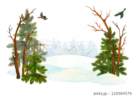 Watercolor winter forest panoramic landscape. Nature composition of hand drawn spruces or firs, bare trees, snowdrifts and bullfinches on conifer forest silhouette background for card or cover design Watercolor winter forest panoramic landscape. Nature composition of hand drawn spruces or firs, bare trees, snowdrifts and bullfinches on conifer forest silhouette background for card or cover design 120564579