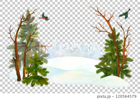 Watercolor winter forest panoramic landscape. Nature composition of hand drawn spruces or firs, bare trees, snowdrifts and bullfinches on conifer forest silhouette background for card or cover design Watercolor winter forest panoramic landscape. Nature composition of hand drawn spruces or firs, bare trees, snowdrifts and bullfinches on conifer forest silhouette background for card or cover design 120564579