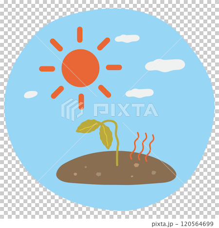 Crops slumping in the intense heat 120564699