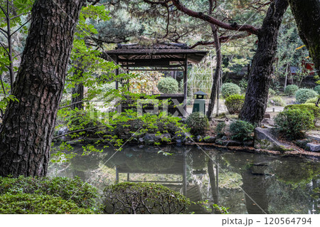 平安神宮南神苑(11月) 120564794