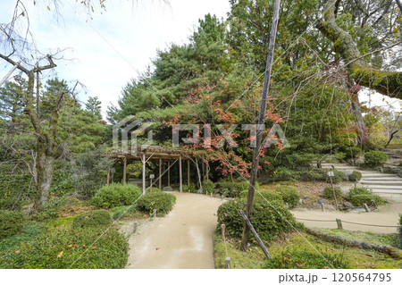 平安神宮南神苑(11月) 平安神宮南神苑(11月) 120564795