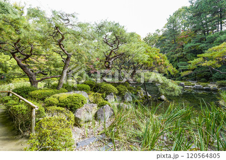 平安神宮西神苑(11月) 平安神宮西神苑(11月) 120564805