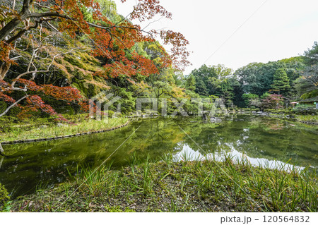 平安神宮中神苑(11月) 平安神宮中神苑(11月) 120564832
