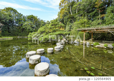 平安神宮中神苑(11月)　臥龍橋 120564905