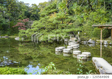 平安神宮中神苑(11月)　臥龍橋 120564909