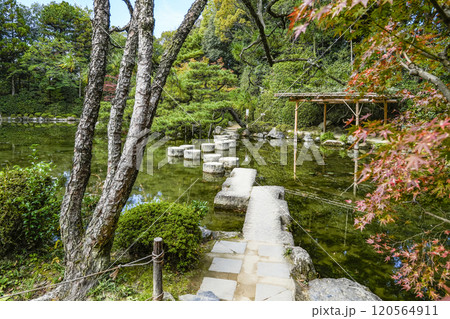 平安神宮中神苑(11月)　臥龍橋 120564911