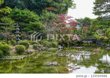 平安神宮中神苑(11月) 120564986