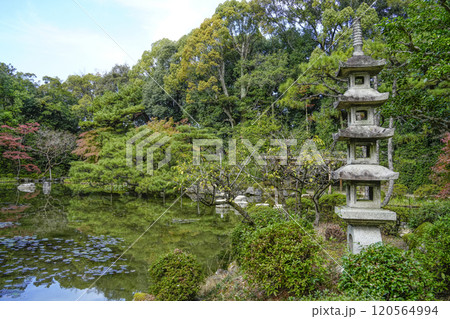 平安神宮中神苑(11月) 平安神宮中神苑(11月) 120564994