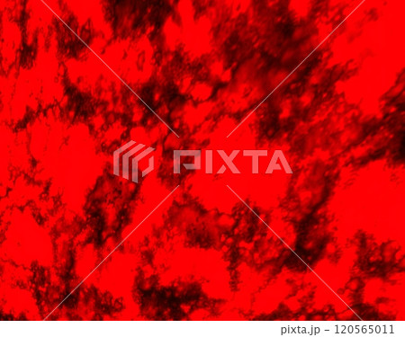 ビビッドなホラー背景 120565011
