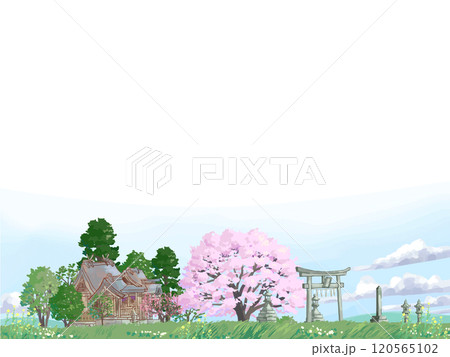 桜の木と神社 120565102