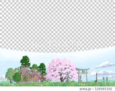櫻花樹和神社 120565102