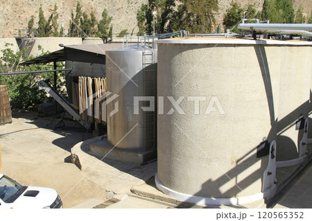 Pisco sour distillery in Pisco Elqui Pisco sour distillery in Pisco Elqui 120565352