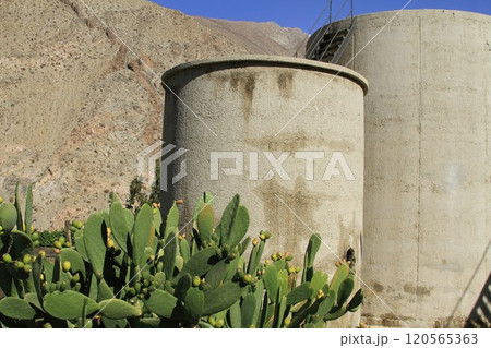 Pisco sour distillery in Pisco Elqui Pisco sour distillery in Pisco Elqui 120565363