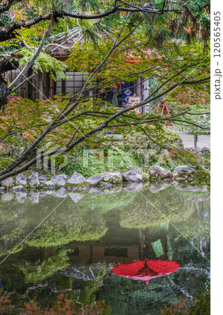 平安神宮中神苑(11月) 120565405