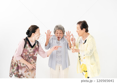 シニア女性 ケンカ 仲裁 シニア女性 ケンカ 仲裁 120565641