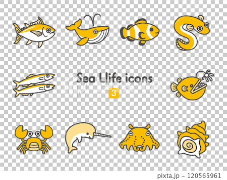 圖標合輯 ~ 海洋生物 3 120565961